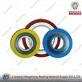 Color Spiral Wound Gasket