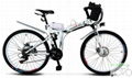 folding electric bike 1