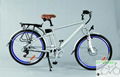 mountain ebike 1