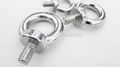 High Polished Stainless Steel AISI316 Eye Bolts Metric M6 M8 to M30