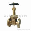 Marine Bronze Gate Valve 1