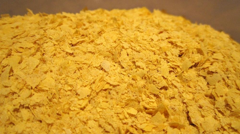 Nutritional Yeast Powder or Flakes 3