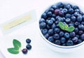 Bilberry Extract 2