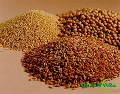 Flaxseed extract