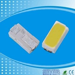 China LED SMD 3014 with LM80 approval