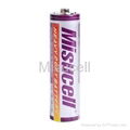 Alkaline battery