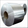 Stainless Steel Strips