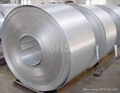 Stainless Steel Strips 2