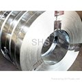 Stainless Steel Strips 3