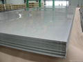 Stainless Steel Sheets