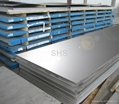 Stainless Steel Plates 3