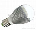 6W  LED Bulb Light