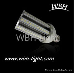 CE RoHS approved LED Street Light 