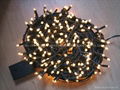 LED LIGHT CHAIN  2