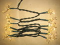 LED LIGHT CHAIN  4