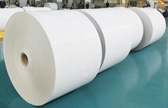 cup paper material in roll