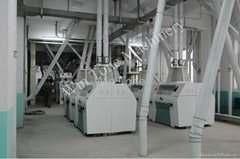 maize flour processing line