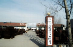 BINZHOU EVERGREEN IMPORT & EXPORT CO.,LTD