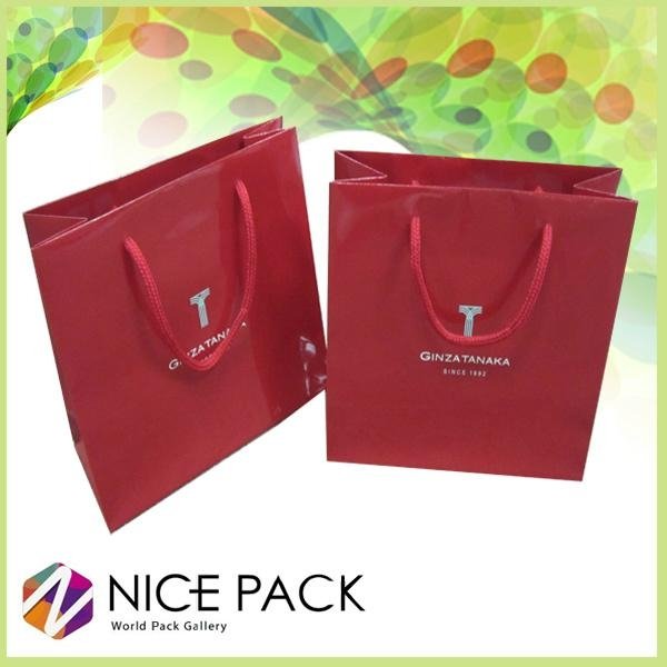 2013 Newest Luxury Paper  Carry Bag   2