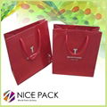 2013 Newest Luxury Paper  Carry Bag   2