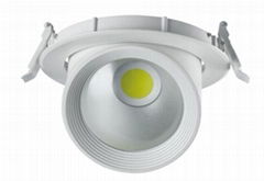 COB CEILING LIGHT