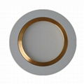 LED PATCH DOWNLIGHT 1