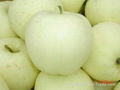 Golden Delicious apple