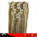 Wholesale Price  virgin clip in hair extension 1