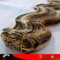 Wholesale Price  virgin clip in hair extension 2