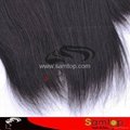 wholesale top quality 100% virgin indian hair 3
