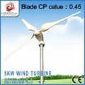 Green and renewable power for 5kw wind