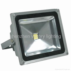 White Lens 100Lm/W Omni 50W Outdoor LED