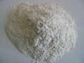 Bleaching Earth for Refining Soybean Oil  1