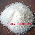 stearic acid  1