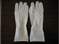 Disposable latex surgical gloves 1