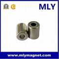 Sintered permanent Arc motor magnet 1