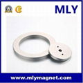 sintered rare earth ring NdFeB speaker magnet 2