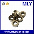 sintered rare earth ring NdFeB speaker magnet 5