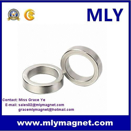 Strong Permanent Neodymium (NdFeB) Ring Magnet