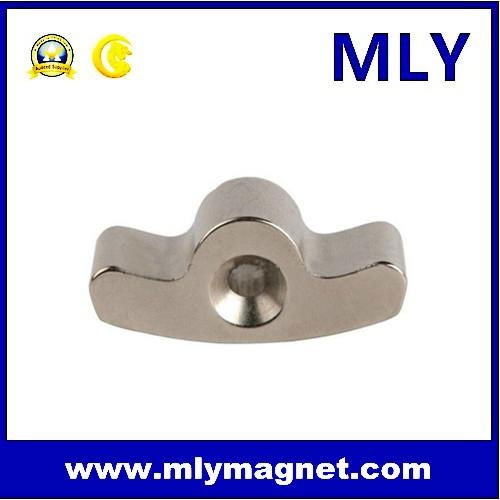 Strong Permanent Neodymium Custom Arc Magnet with Hole  5