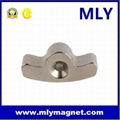 Strong Permanent Neodymium Custom Arc Magnet with Hole  5