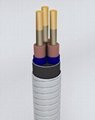ESP cable for oilfield with CE and API 4