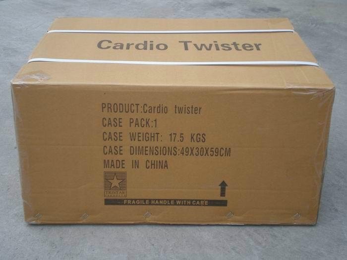 Cardio Twister Stepper with handles 5