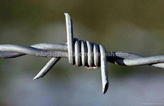 Hot dipped galvanized barbed wire