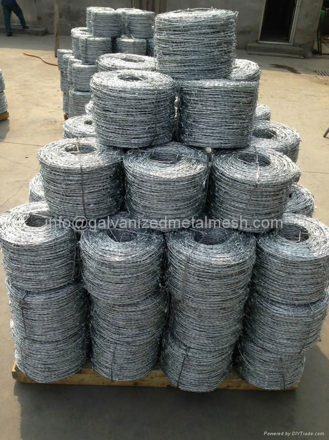 Hot dipped galvanized barbed wire 5