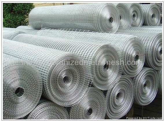 Galvanized Welded Wire Mesh