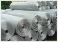 Galvanized Welded Wire Mesh 1