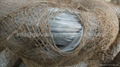  Hot dipped Galvanized Wire  for Building Construction 1