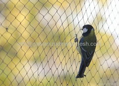 Anti-bird netting  made of PE PP with UV protection and nylon