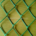 Chain Link Fence Made of Low Carbon Wire 1